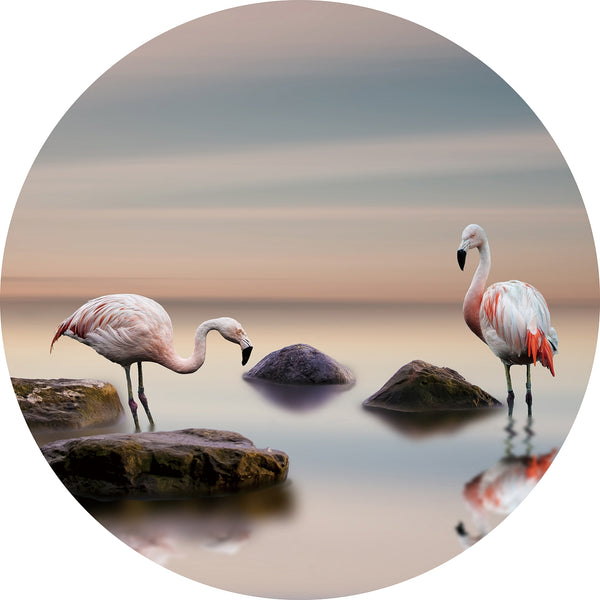Rond glasschilderij - Flamingo's