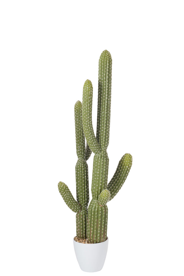 Cactus+pot Plastic Groen/melamine Wit Large