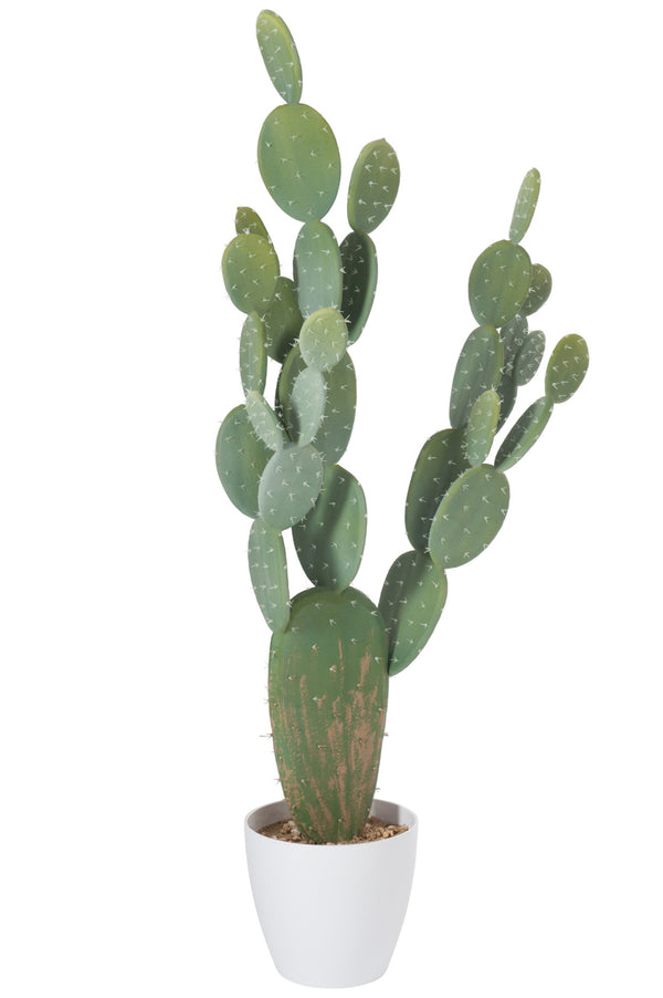 Cactus+pot Plastic Groen/melamine Wit Xl