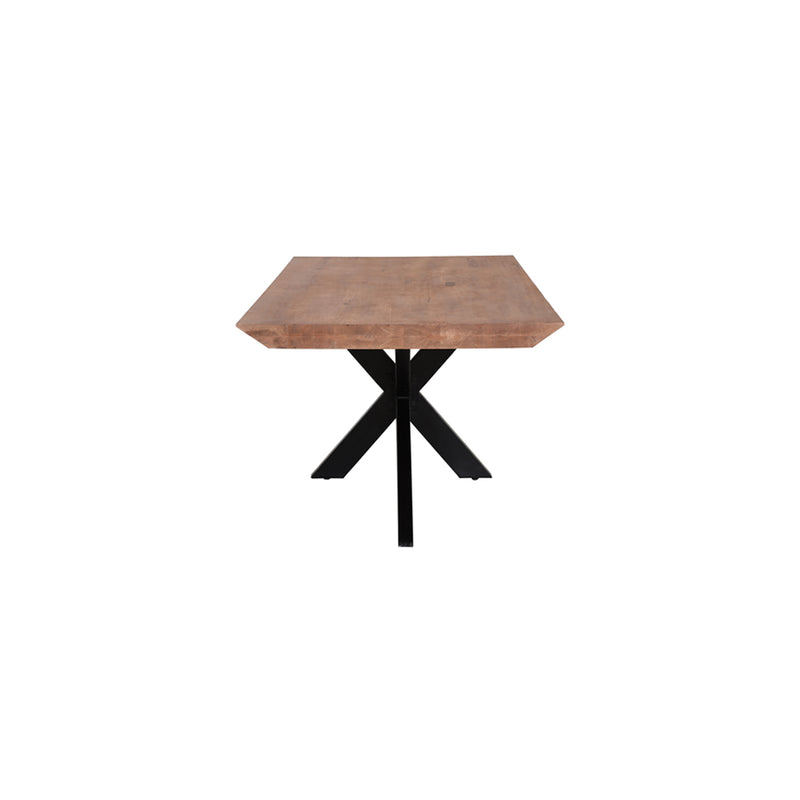 Eettafel PATTA | Naturel | Mangohout | 260 x 100 x 7 (h) cm
